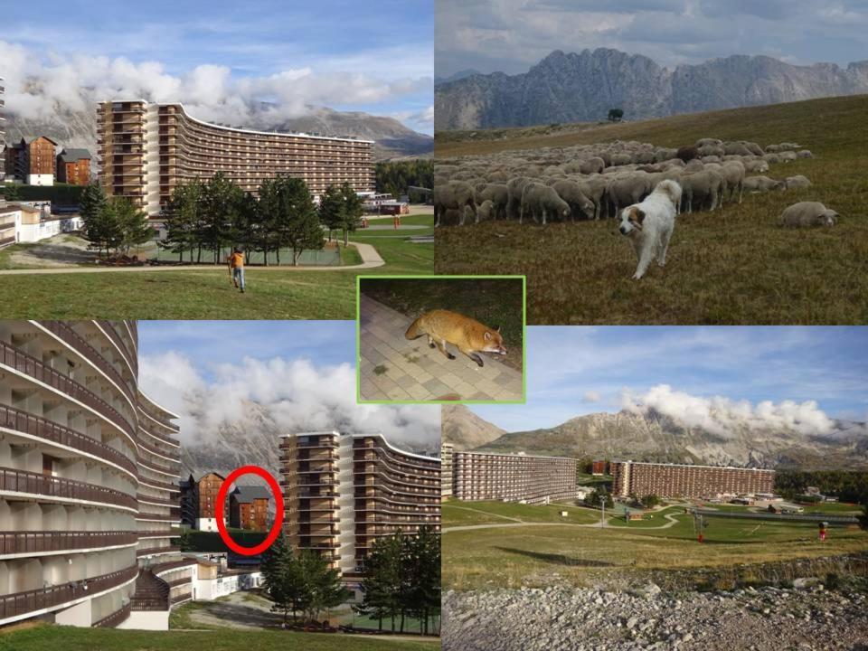 Appartement 8-10 Personnes Superdevoluy Hautes Alpes Rez De Chaussee Vue Panoramique 3 Chambres Saint-Étienne-en-Dévoluy Exteriér fotografie